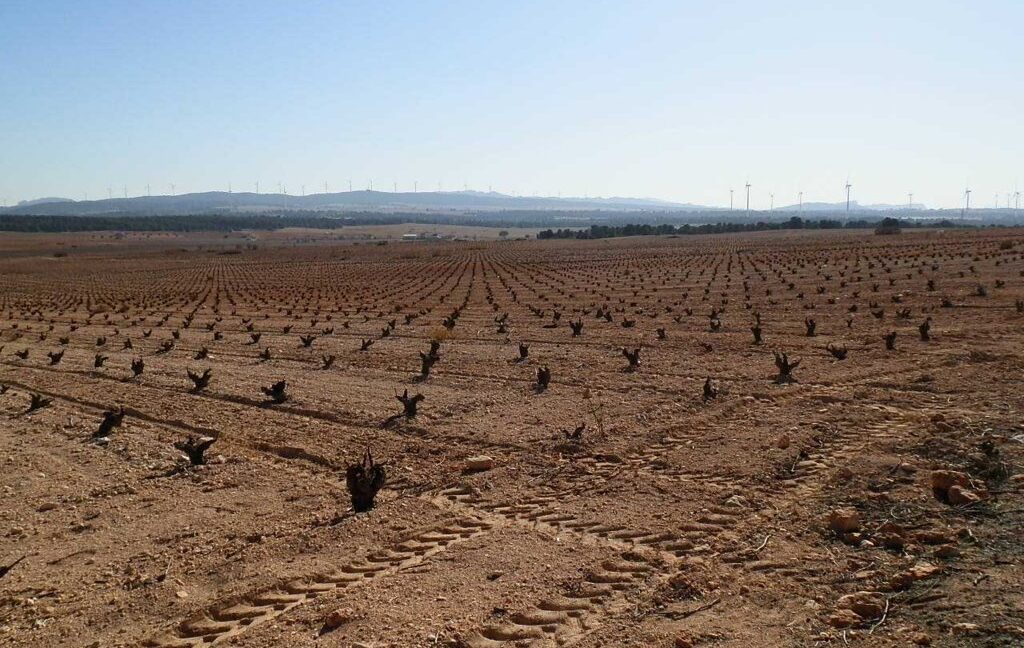 626_fincas-en-venta-037