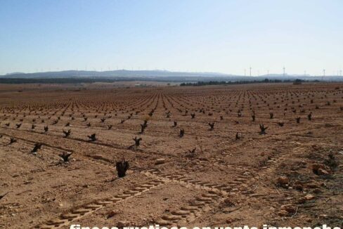626_fincas-en-venta-037