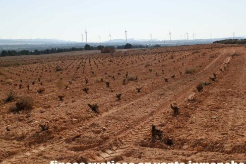 626_fincas-en-venta-041