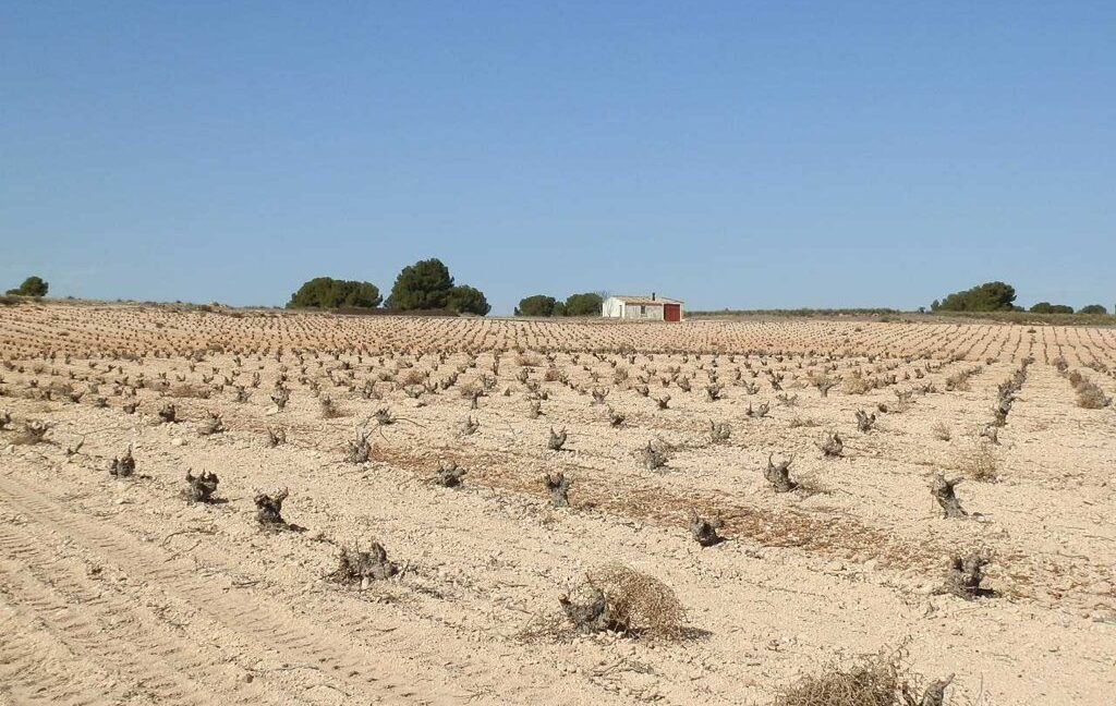 626_fincas-en-venta-043