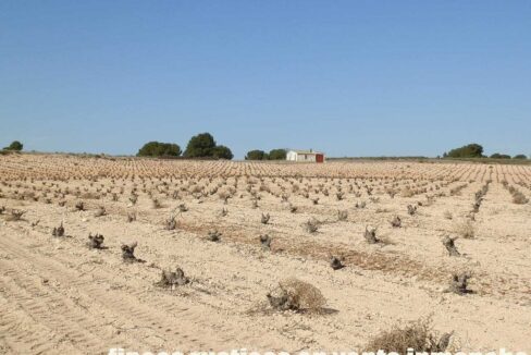 626_fincas-en-venta-043