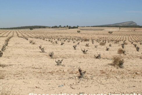 626_fincas-en-venta-044