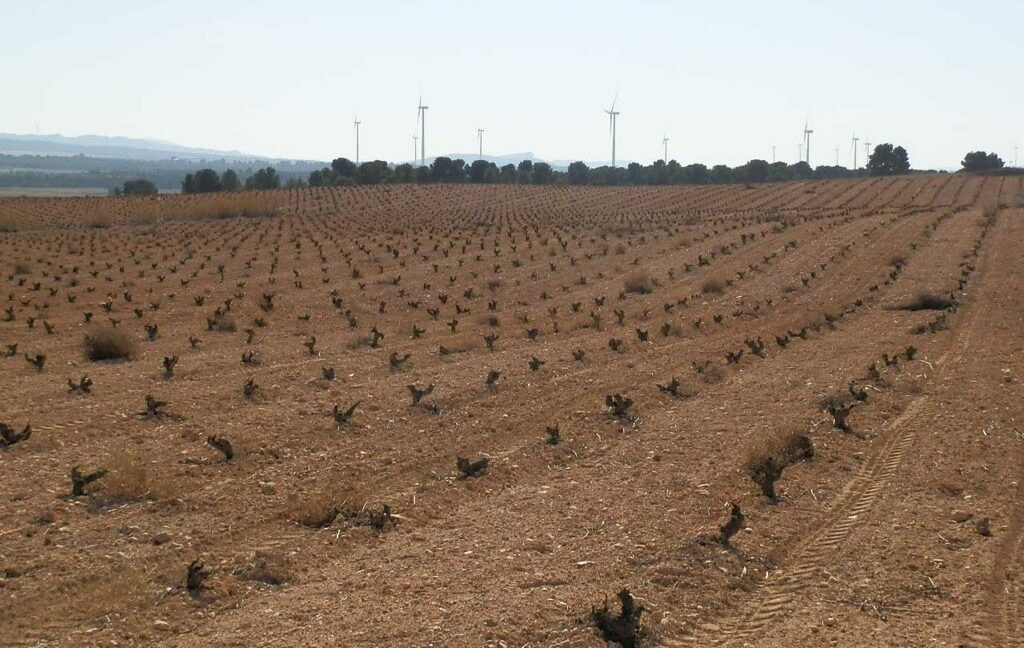 626_fincas-en-venta-047
