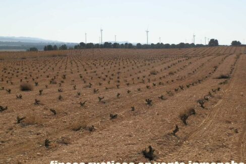 626_fincas-en-venta-047