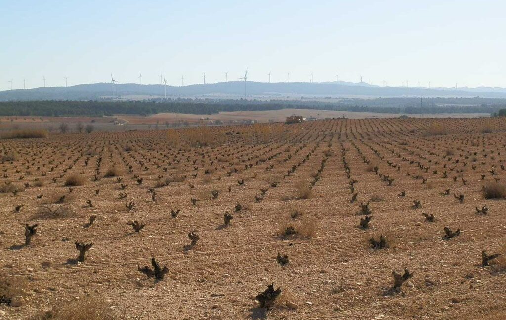 626_fincas-en-venta-048