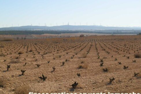626_fincas-en-venta-048