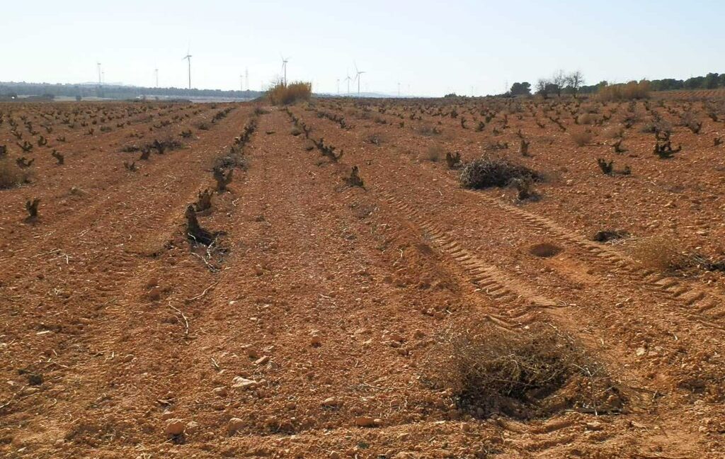 626_fincas-en-venta-051