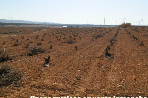 626_fincas-en-venta-052