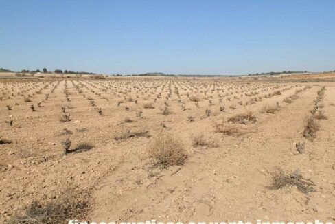 626_fincas-en-venta-053