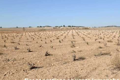 626_fincas-en-venta-055