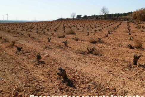 626_fincas-en-venta-056