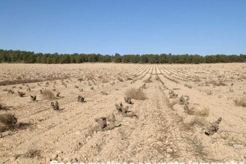 627_fincas-en-venta-015