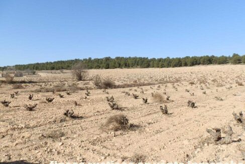 627_fincas-en-venta-016