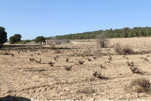 627_fincas-en-venta-017