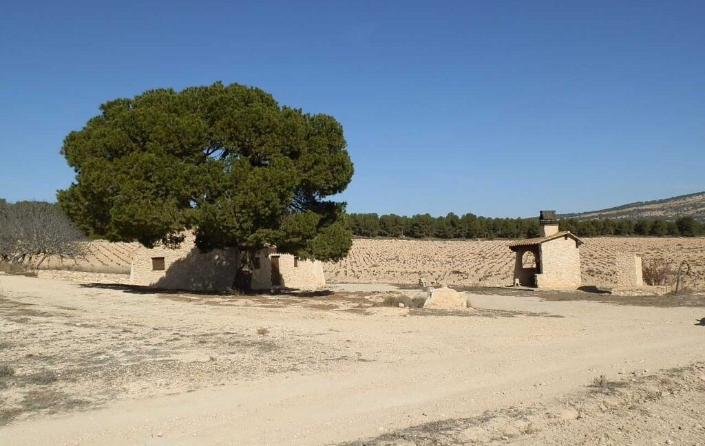 627_fincas-en-venta-020