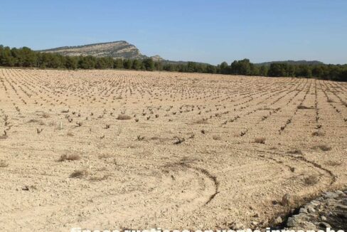 627_fincas-en-venta-024