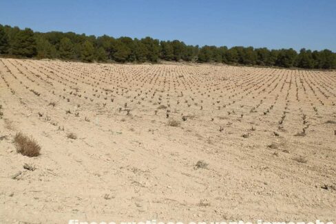 627_fincas-en-venta-025