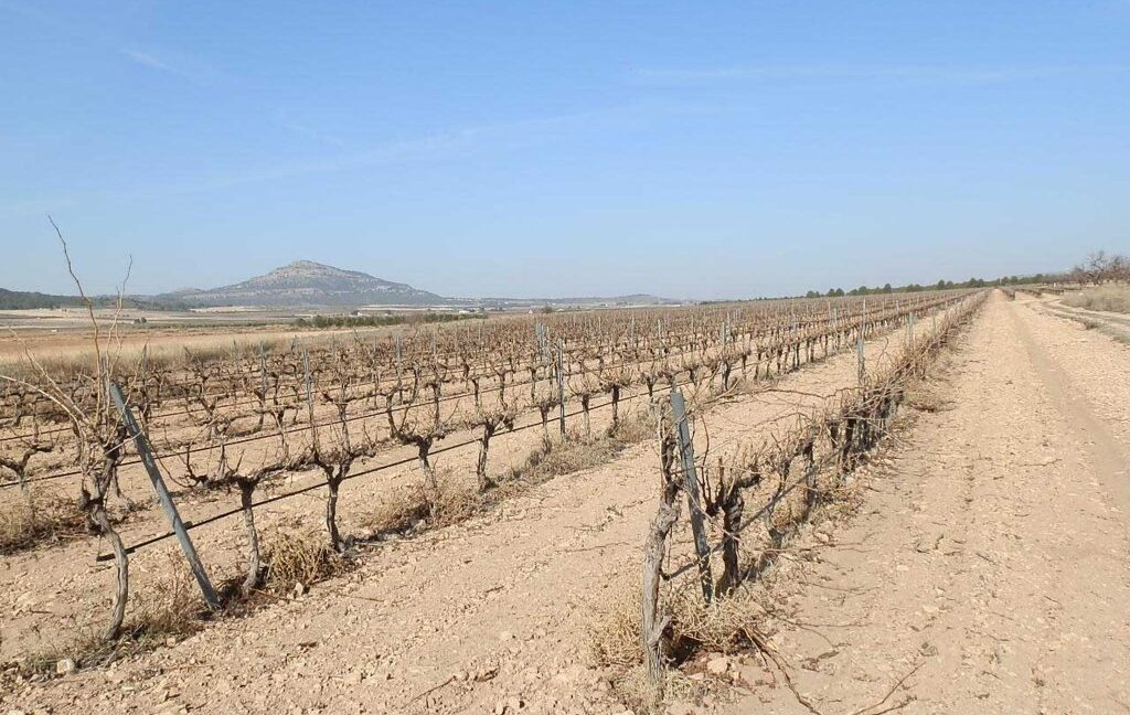 628_fincas-en-venta-001