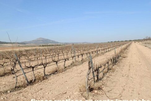 628_fincas-en-venta-001