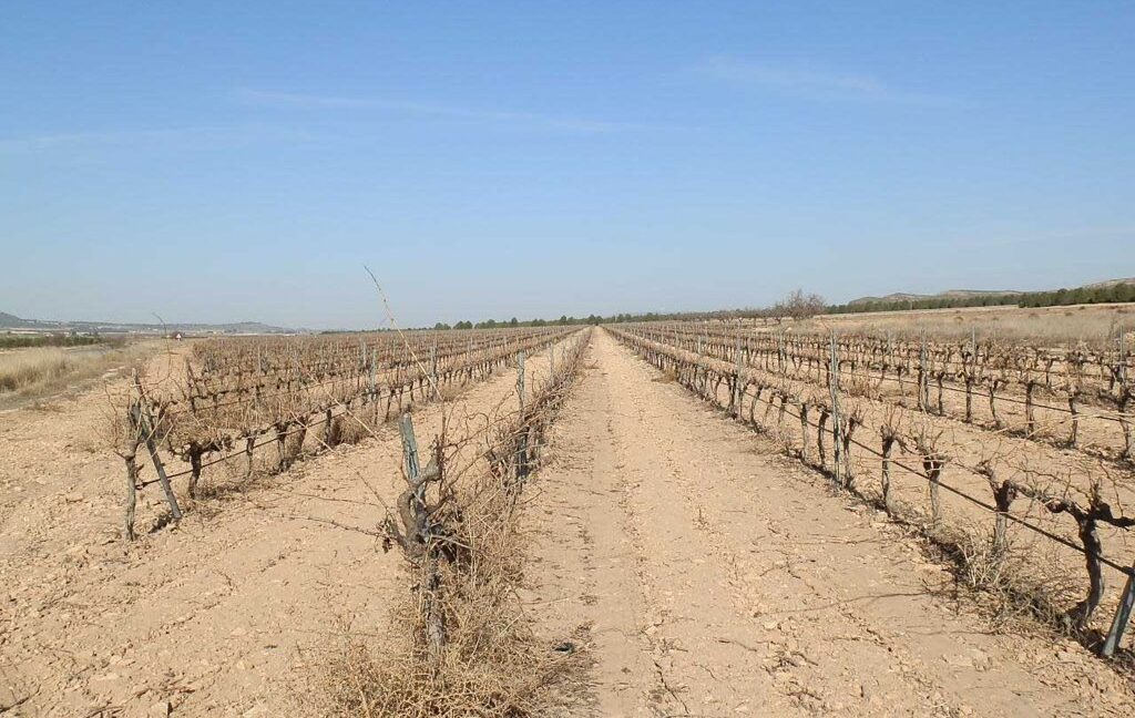 628_fincas-en-venta-002