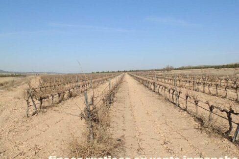 628_fincas-en-venta-002