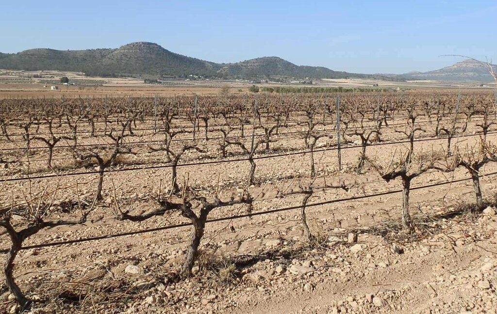 628_fincas-en-venta-003