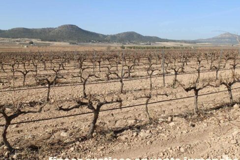 628_fincas-en-venta-003