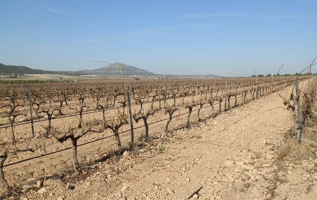 628_fincas-en-venta-004