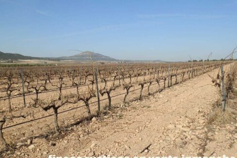 628_fincas-en-venta-004