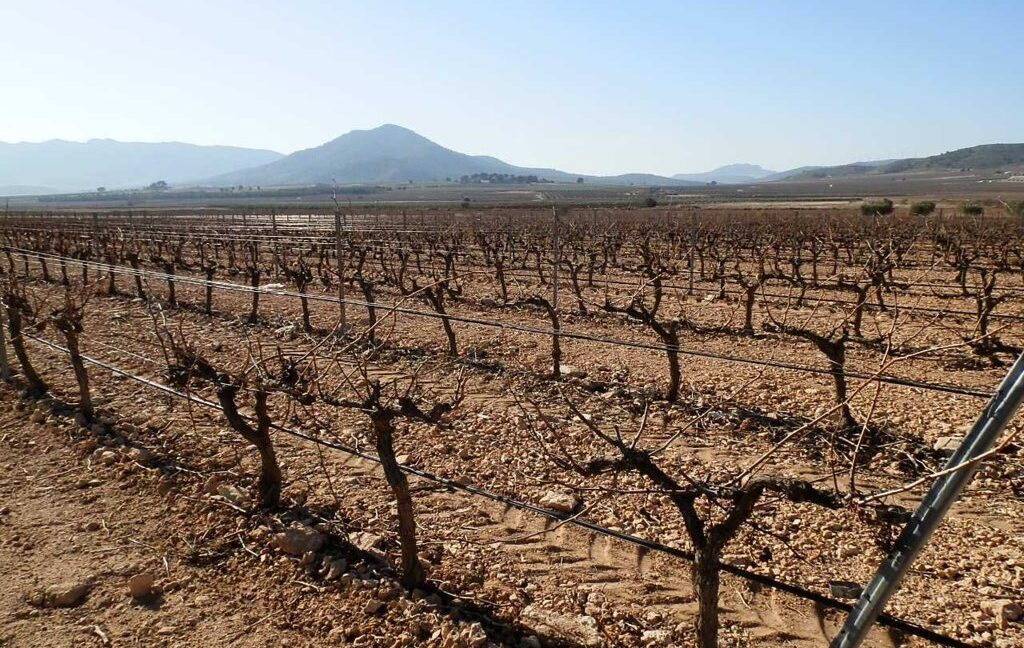 628_fincas-en-venta-005
