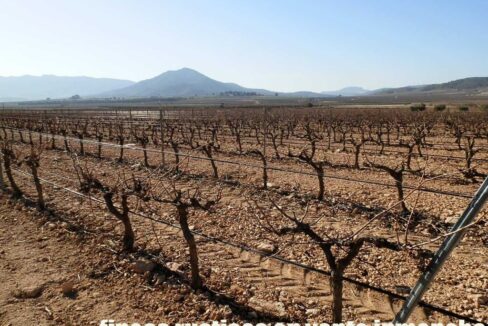 628_fincas-en-venta-005