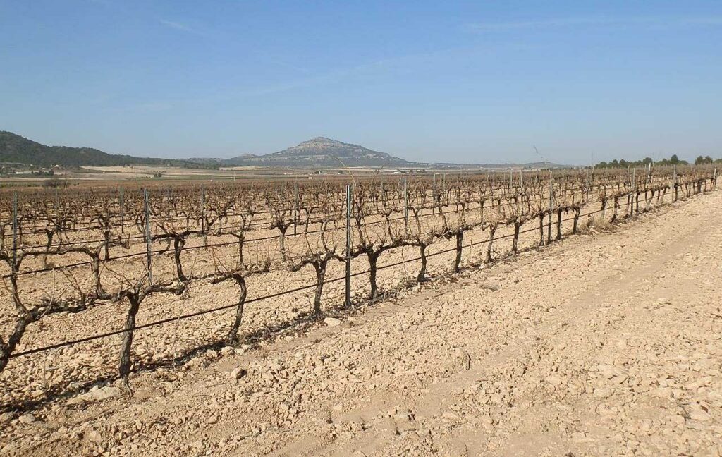 628_fincas-en-venta-007