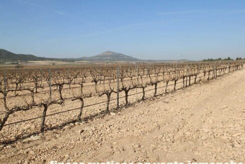 628_fincas-en-venta-007