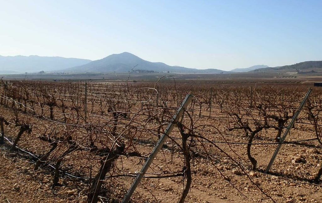 628_fincas-en-venta-008