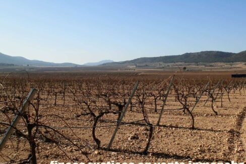 628_fincas-en-venta-009