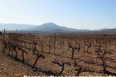 628_fincas-en-venta-010