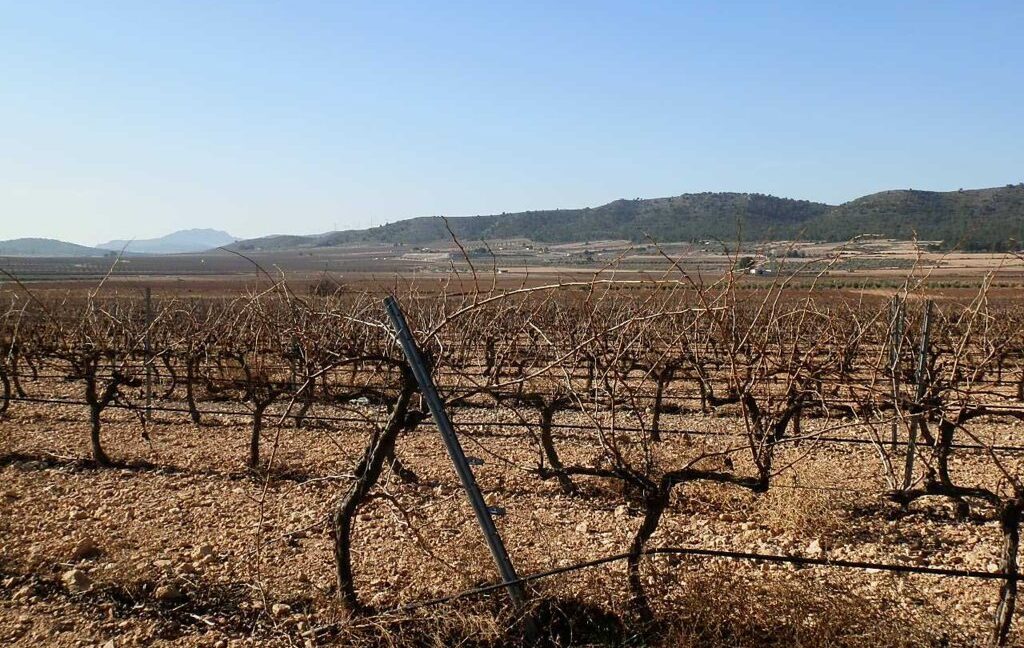 628_fincas-en-venta-011