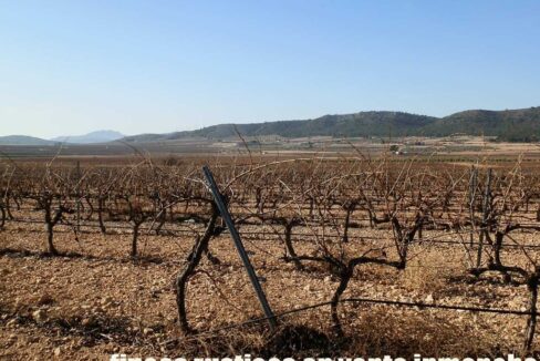 628_fincas-en-venta-011
