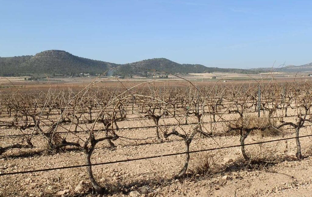 628_fincas-en-venta-012