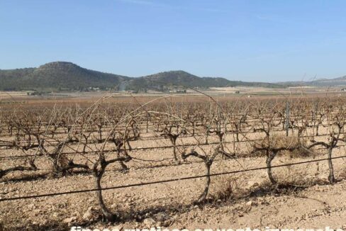 628_fincas-en-venta-012