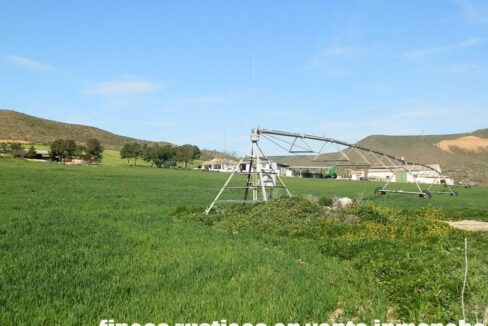 631_fincas-en-venta-179