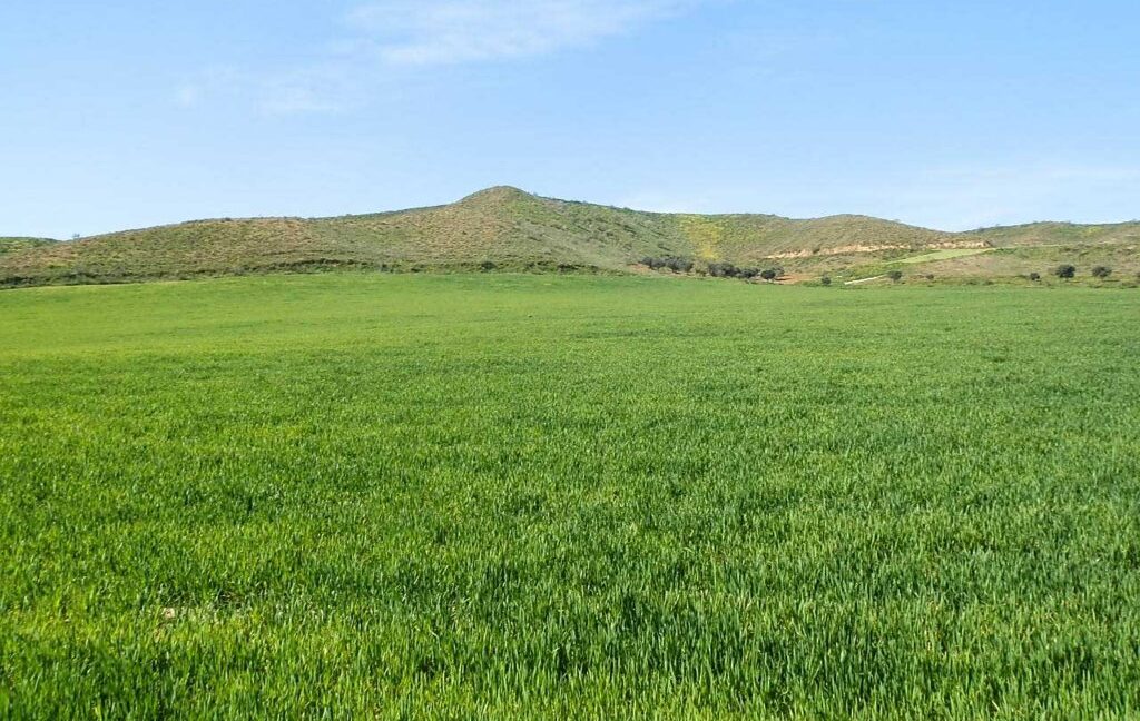 631_fincas-en-venta-180