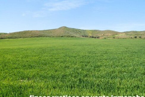 631_fincas-en-venta-180