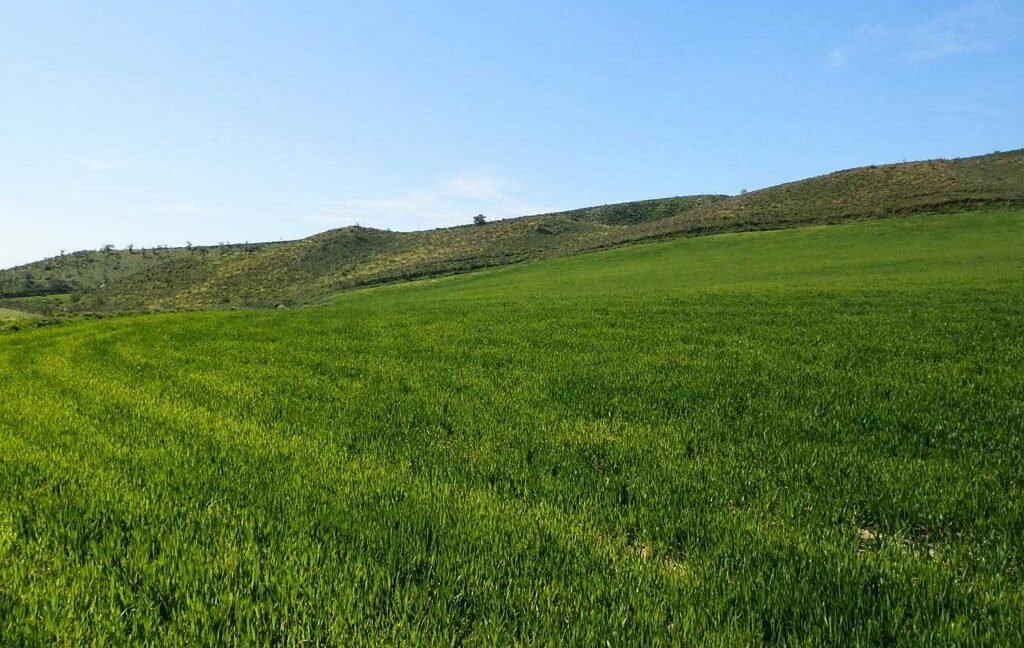 631_fincas-en-venta-181