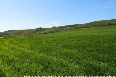 631_fincas-en-venta-181