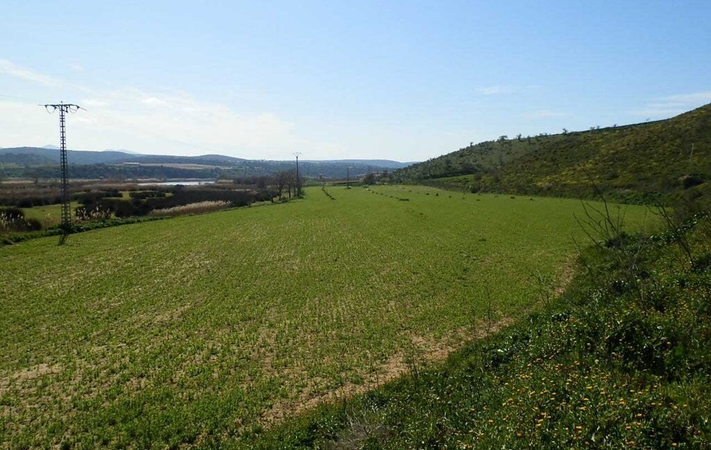 631_fincas-en-venta-182