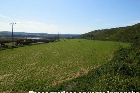 631_fincas-en-venta-182