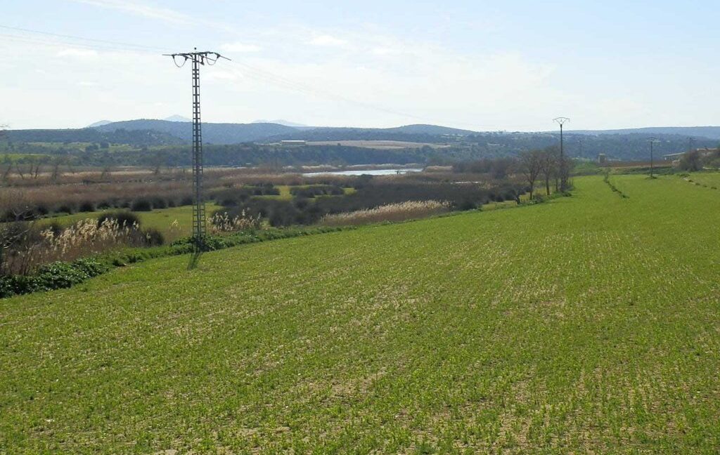 631_fincas-en-venta-183