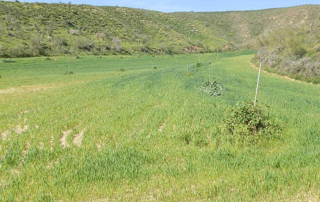 631_fincas-en-venta-184
