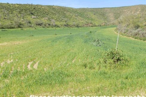 631_fincas-en-venta-184
